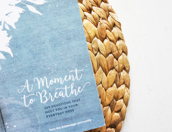About A Moment to Breathe book